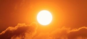 El verano del horror: Más de 489.000 muertes evitables por calor extremo, incendios devastadores y más de 50º