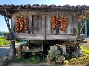 Los hórreos del norte de España son declarados patrimonio cultural inmaterial