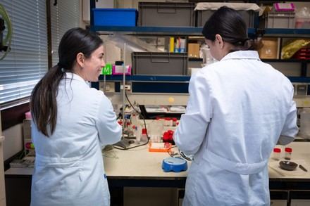 CSIC y organismos europeos promueven la igualdad de género en la educación superior y la investigación