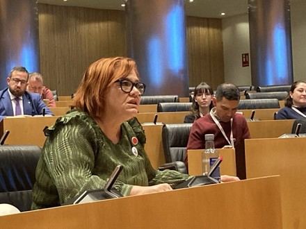 El Gobierno prevé resultados de una macroencuesta sobre violencia de género para 2025