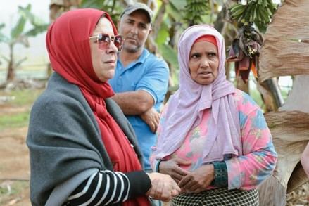 El Gobierno español lanza la Orden GECCO 2026 para contratar migrantes en origen