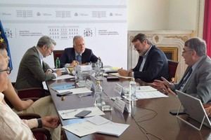 El Gobierno español finaliza reubicación de menores migrantes no acompañados
