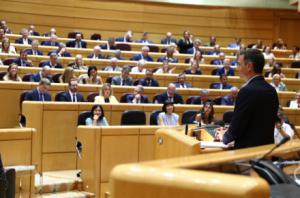 El PP cita a Sánchez a declarar en la comisión de investigación del Senado por el 'caso Koldo'