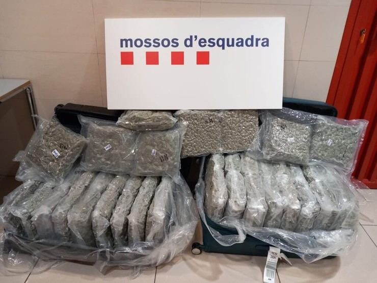 Detienen a un hombre de 74 años con 50 kg de marihuana en el aeropuerto del Prat