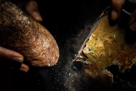 FOTCIENCIA21 revela las imágenes científicas más impactantes del año