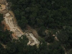 Greenpeace revela que la minería ilegal destruye más de 4.000 hectáreas en la Amazonía