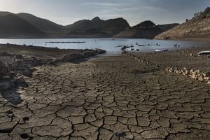 Greenpeace alerta sobre la gestión del agua: actuar ahora es clave para enfrentar la sequía futura