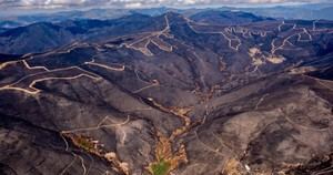 Greenpeace revela la devastación de incendios en Ourense, León y Zamora con imágenes aéreas