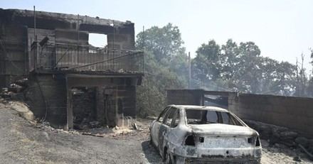 Greenpeace insta a políticos a implementar medidas consensuadas contra incendios forestales