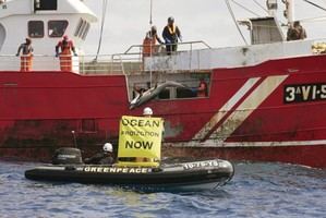 Greenpeace denuncia pesca ilegal de tiburones por un buque español en alta mar