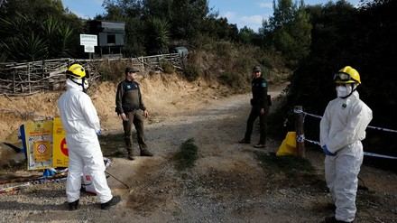 Aumentan a 13 los casos de peste porcina en Cataluña, dos fuera de la zona de riesgo
