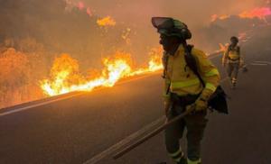 Incendio en Almería arrasa 4.000 hectáreas y deja 12 muertos y 23 desaparecidos