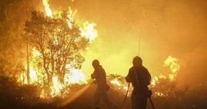 Greenpeace urge a las autoridades a intensificar la prevención de incendios forestales