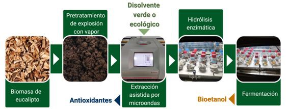 Avance en biocombustibles sostenibles mediante técnicas innovadoras