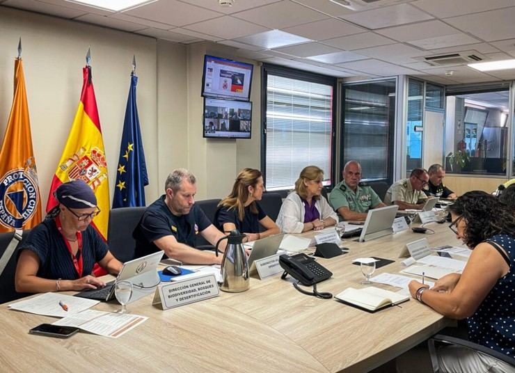 El Ministerio del Interior coordina recursos para combatir incendios forestales en comunidades afectadas