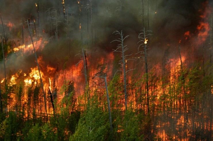 El Ministerio del Interior activa la Fase de Preemergencia por incendios forestales