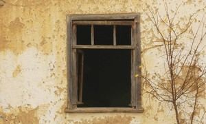 Nuevas estrategias para frenar la despoblación en el campo español