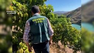 La Guardia Civil investiga a 38 personas por extracción ilegal de agua en Málaga