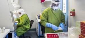 La OMS minimiza el riesgo de propagación del virus Nipah en India
