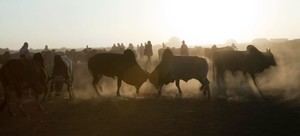 La ONU defiende la soberanía de Somalia tras el reconocimiento de Somalilandia por Israel