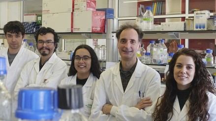 Descubren cómo tau y beta-amiloide impactan de forma distinta en el Alzheimer