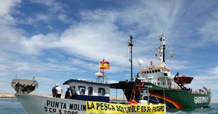Ecologistas piden cuotas pesqueras que favorezcan prácticas sostenibles y comunidades costeras