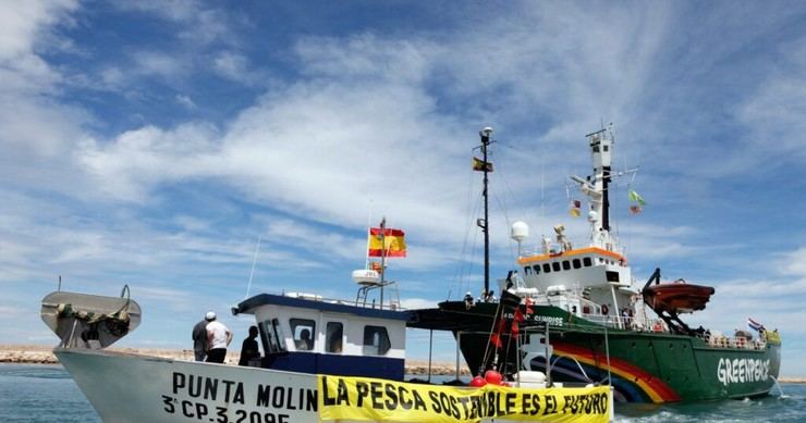 Ecologistas piden cuotas pesqueras que favorezcan prácticas sostenibles y comunidades costeras