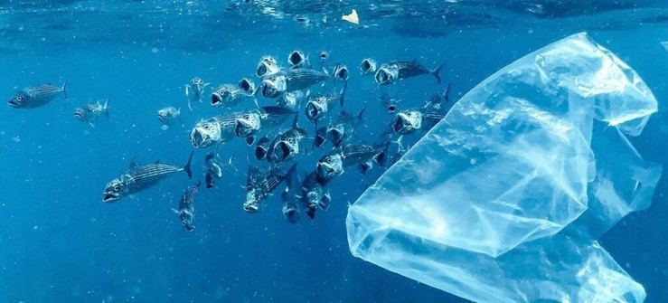 Consecuencias fatales: La ONU advierte que los residuos plásticos podrían triplicarse para 2060