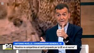 Maíllo critica el alarmismo de la UE y defiende un enfoque pacifista en seguridad europea