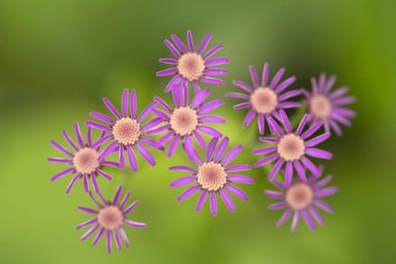Más de un centenar de organizaciones se movilizan por el Día de la Tierra