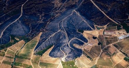 Greenpeace alerta: Mega incendios 40 veces más probables por el cambio climático