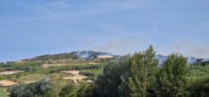 La ola de calor descontrola incendios en España: Descubre cómo las llamas están devorando Tarifa (Cádiz), A Coruña y Navarra