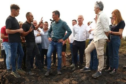 Sánchez propone un Pacto de Estado para enfrentar la emergencia climática en España