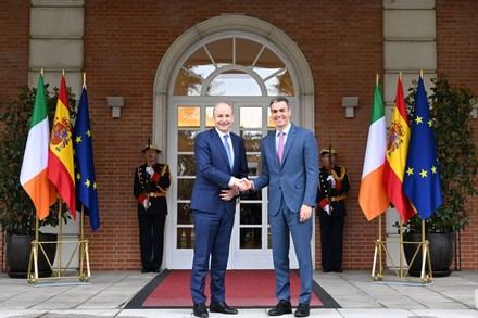 Sánchez y Martin destacan la colaboración entre España e Irlanda en energía y competitividad