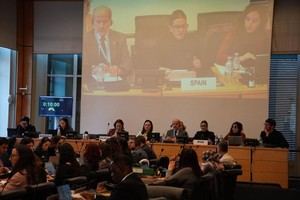 Rego pide a la ONU ampliar la ley para proteger a los niños de maltratadores