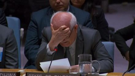 Representante palestino en la ONU rompe a llorar al denunciar el sufrimiento en Gaza