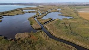 Dos acusados de fraude en proyecto de desarrollo del Delta del Danubio en Rumania