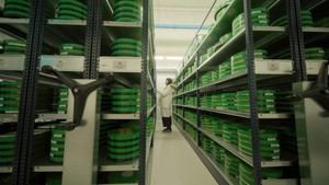 Cualquier tiempo pasado no fue mejor: RTVE lanza la segunda y esperada temporada de 'Los archivos secretos del NO-DO'