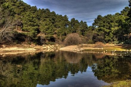 Embalses del Tajo-Segura en nivel 2 hasta diciembre con autorización de trasvase