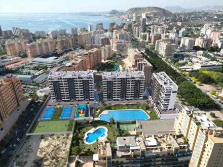 Tres responsables de la Conselleria declararán como testigos en el caso de las VPP de Alicante