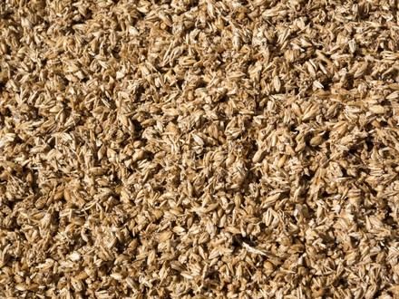 Científicas desarrollan galletas saludables a partir del bagazo de cerveza