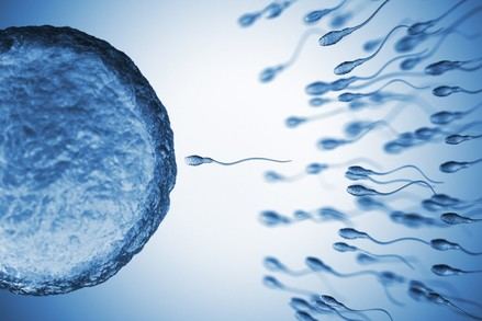 Un estudio revela químicos en el semen humano que pueden perjudicar la fertilidad