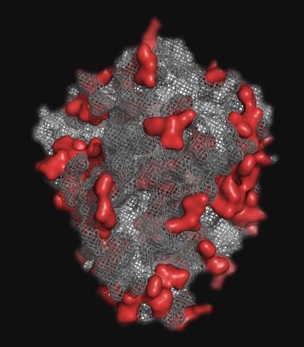 Resucitan enzimas ancestrales para investigar el cáncer y la neurobiología