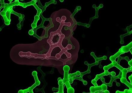 El CSIC facilita la formación en cristalografía macromolecular para investigadores