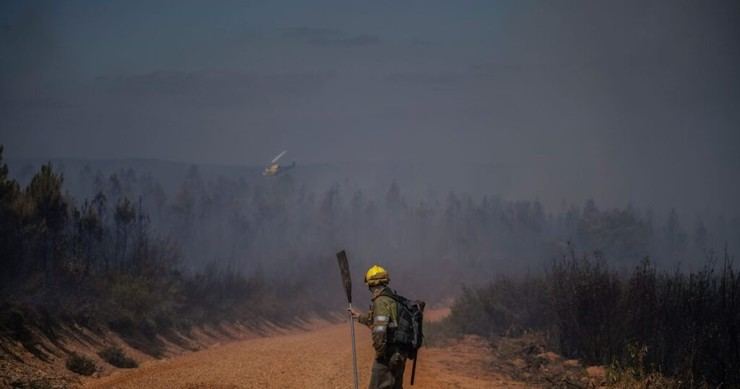 Una inversión de 1.000 millones en prevención podría ahorrar 99.000 millones en extinción de incendios