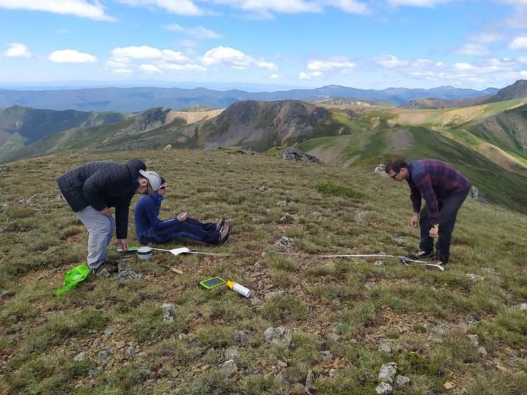 Estudio revela que el calentamiento climático adelanta la germinación de plantas alpinas en casi dos meses