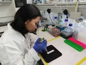 Nueva prueba rápida y económica para detectar la tricomoniasis en 15 minutos