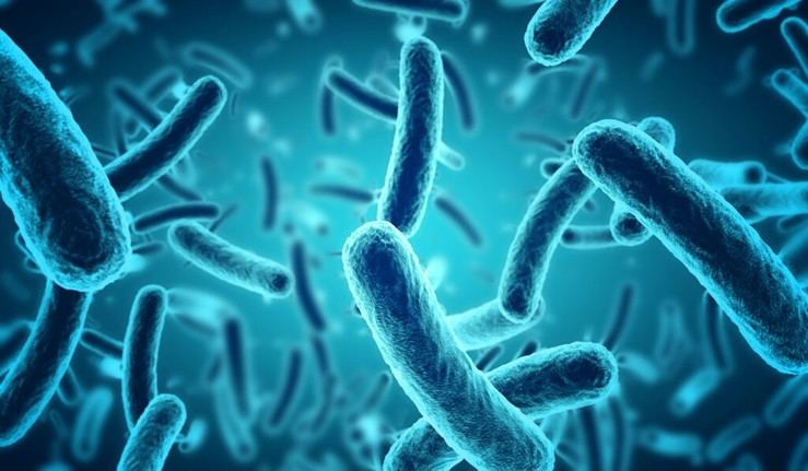 Nueva técnica óptica analiza bacterias para mejorar tratamientos antibióticos