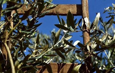 Pronóstico climático para la Semana Santa 2025