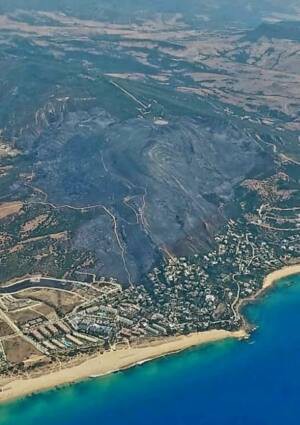 Tarifa arde: La alarmante falta de gestión forestal que ha llevado a un desastre ecológico sin precedentes